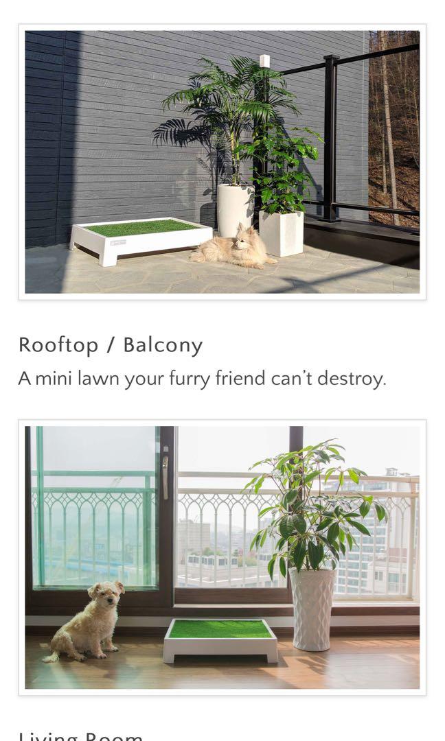 Pet Green Dog Pee Tray with Self Drainage and Artificial Grass, Pet