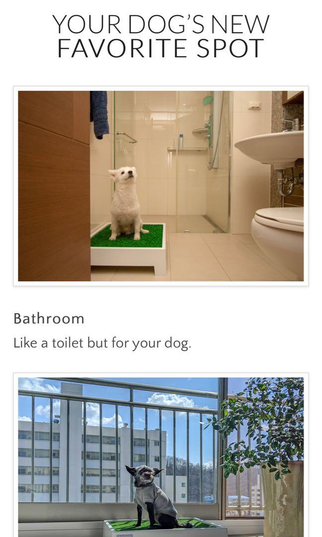 Pet Green Dog Pee Tray with Self Drainage and Artificial Grass, Pet