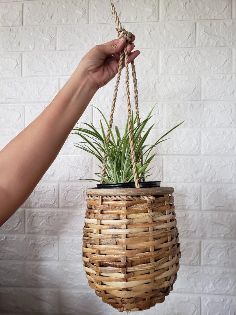 Rattan Hanging Planters And Pots Gardening Garden Tools Supplies On Carousell