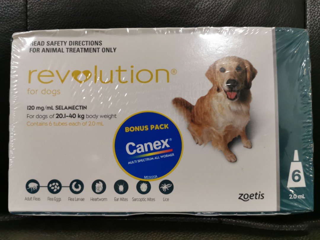Revolution for Dogs 20.1 40kg 6 pack Large Flea Heartworm Pet
