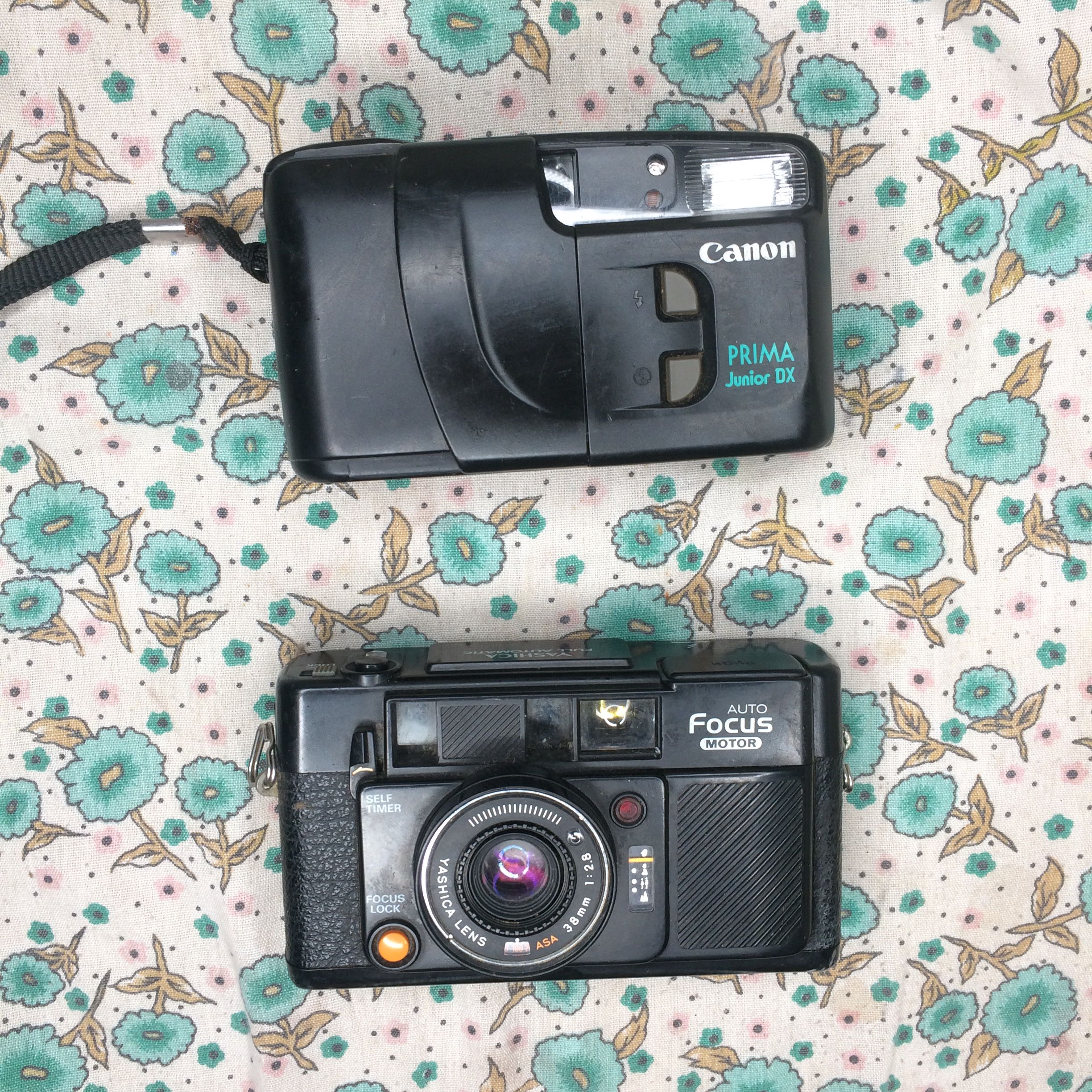 take all vintage film cameras yashica canon