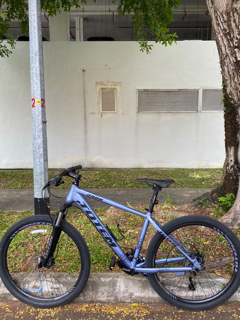 totem mtb 29