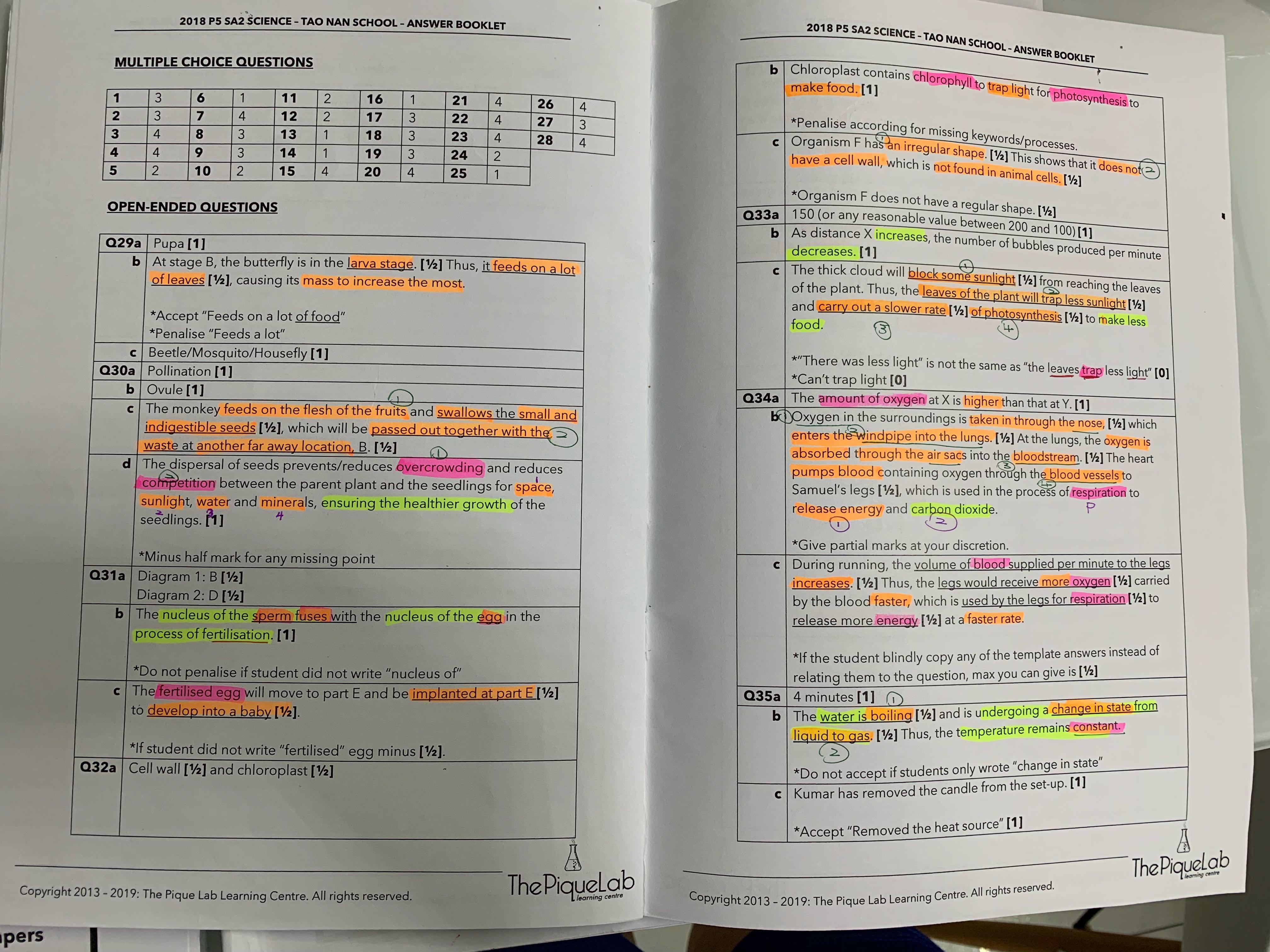 Unlocking the Secrets of the PSLE 2017 Science Paper – A Comprehensive Answer Key Breakdown