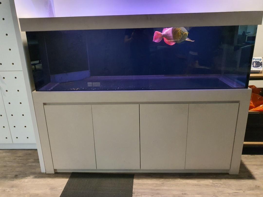 6ft aquarium