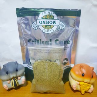 （分類：）位於 。 由 hamham.2_ 提交（商品編號 1040477876，圖片 1）。簡介： 。