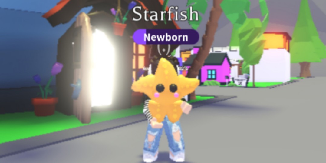 Adopt Me Starfish For Robux Toys Games Video Gaming In Game Products On Carousell - robux tree