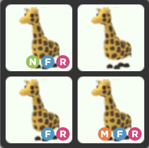 Fr Giraffe X1 Adopt Me Roblox Mega Neon Fly Ride Mnfr Nfr Giraffe Toys Games Video Gaming In Game Products On Carousell - roblox adopt me pets giraffe