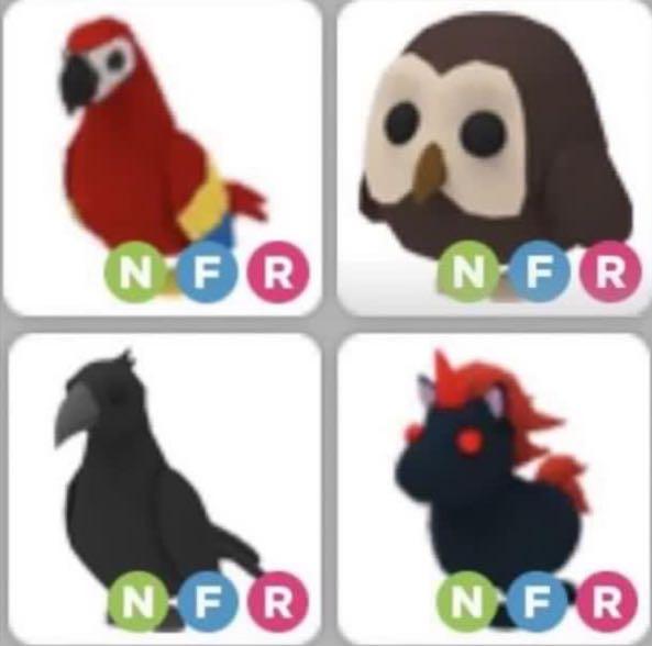 Nfr Bundle Roblox Adopt Me Neon Fly Ride Owl Evil Unicorn Crow Parrot Toys Games Video Gaming In Game Products On Carousell - owl roblox adopt me