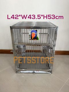 (Category: ) located in . Submitted by petsstore (Listing ID 1040436675, Image 1). Description: .