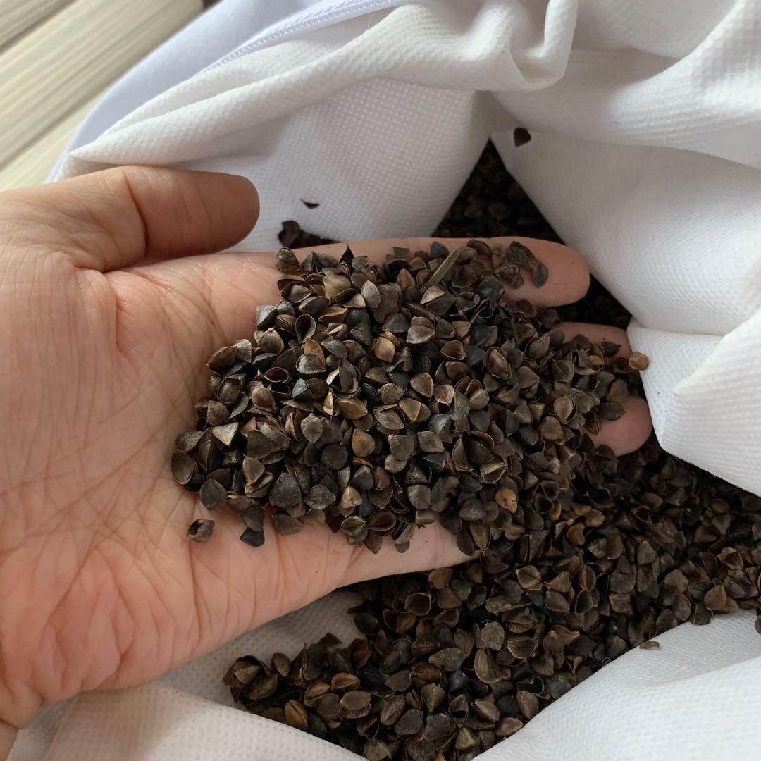 Buckwheat pillow refill cheap