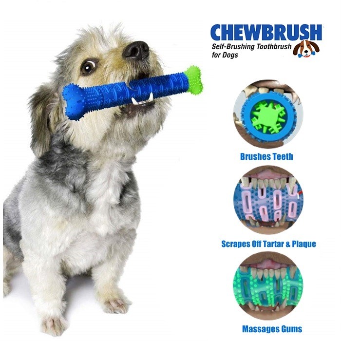 self brushing dog toothbrush