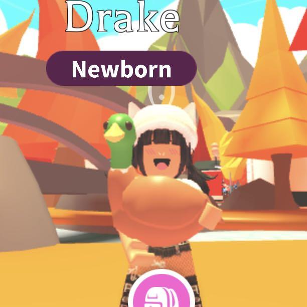 Drake Adopt Me Roblox Toys Games Video Gaming In Game Products On Carousell Adopt me is a game where you can adopt babies and pets, have fun playing adopt me on roblox���. drake adopt me roblox
