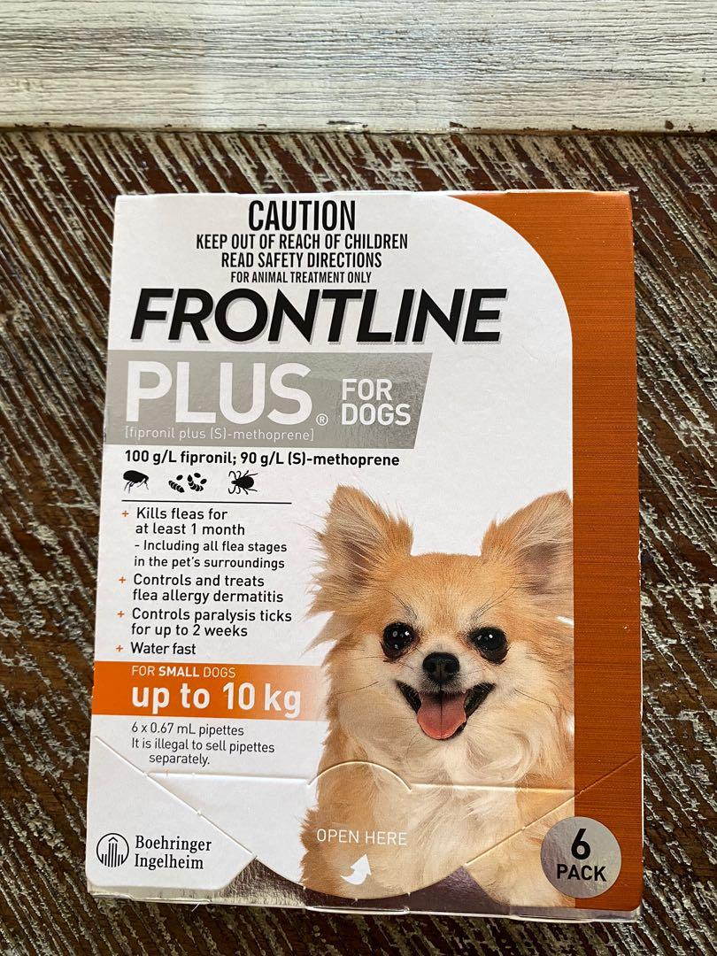 frontline for chihuahuas