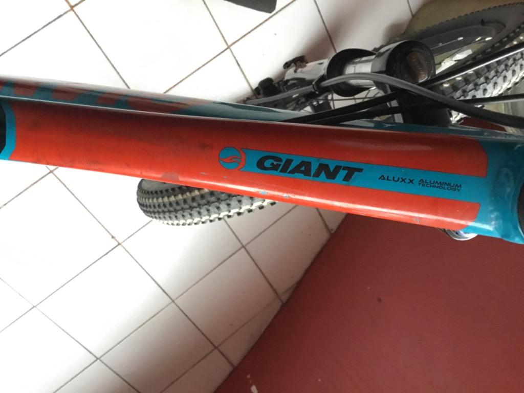 Giant xtc online jr 24 2017