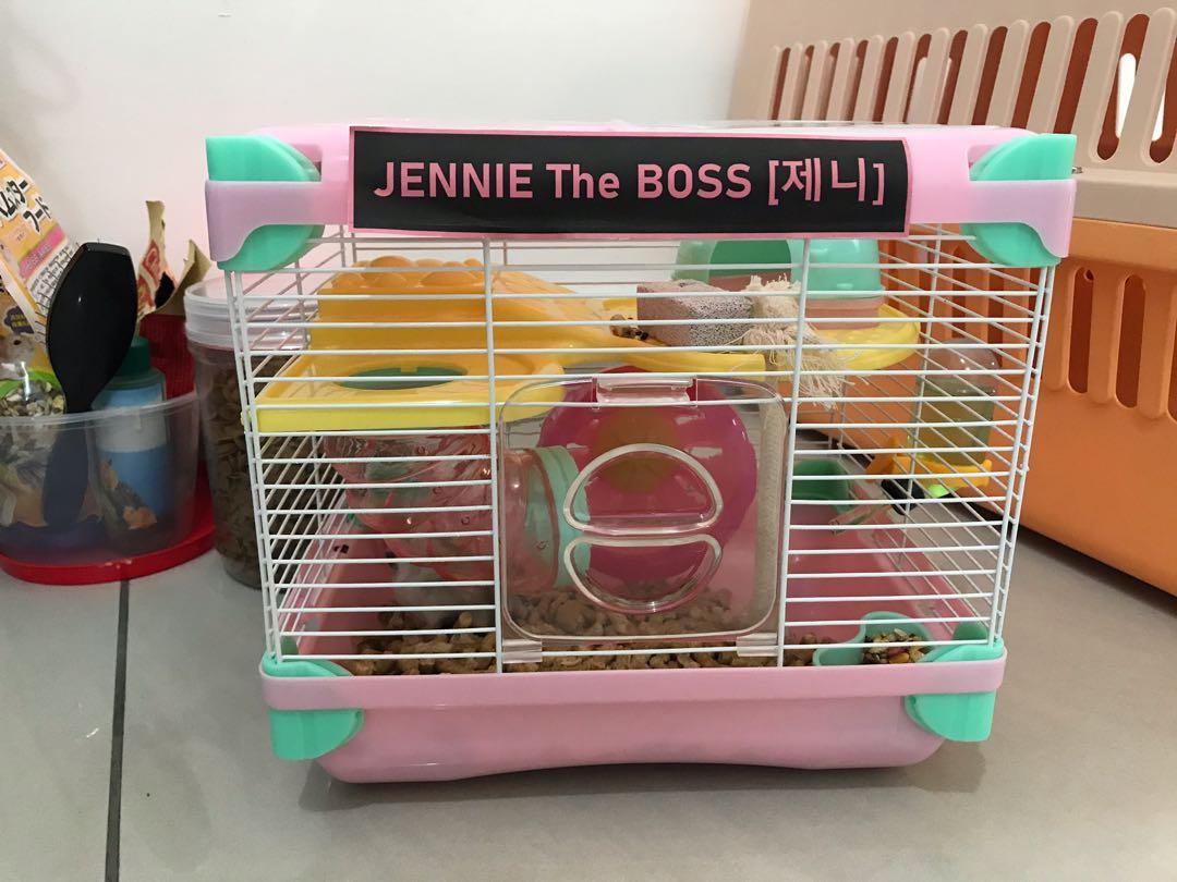 Hamster bedding tesco store