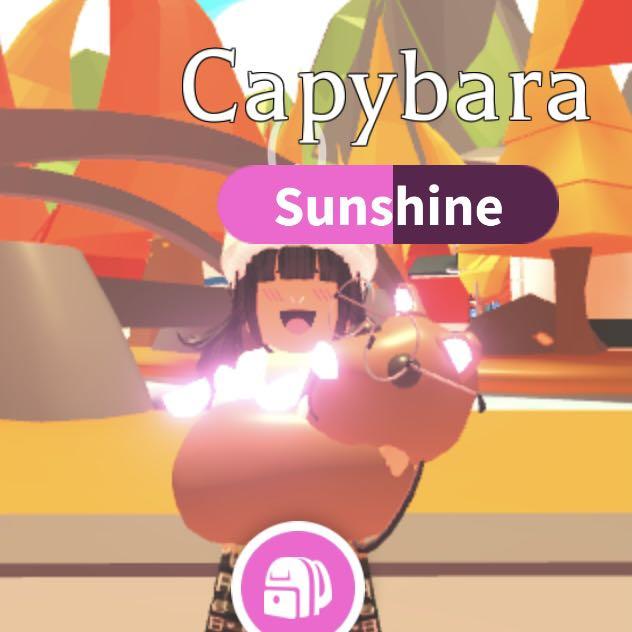 NFR capybara adopt me roblox, Video Gaming, Gaming Accessories, Game