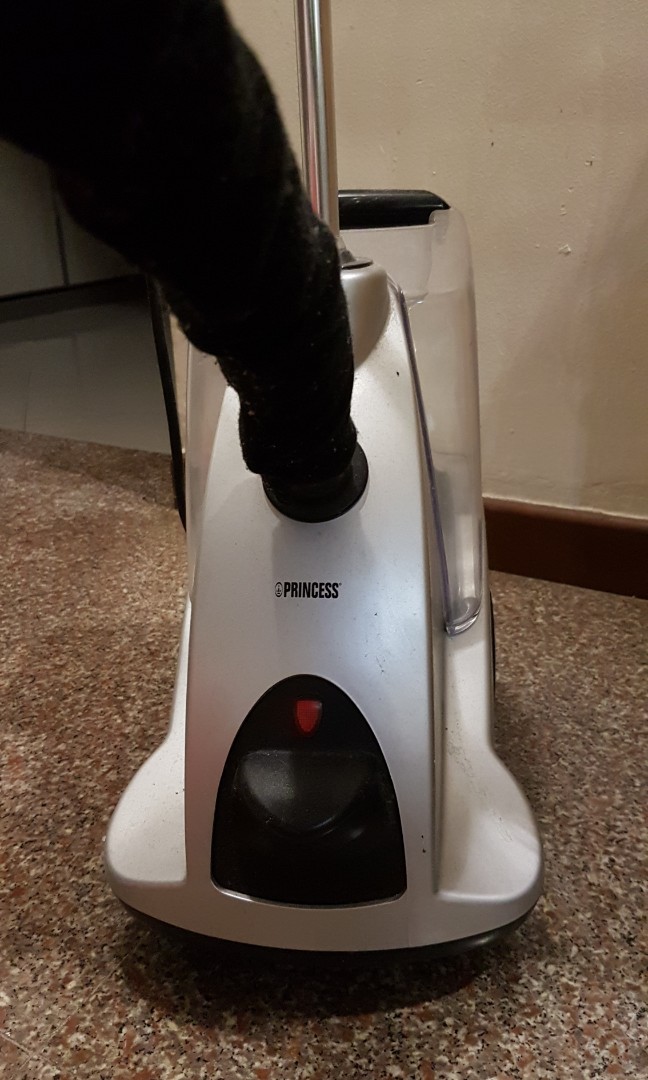 tefal clothes steamer big w