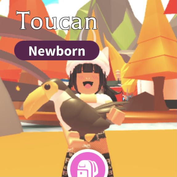 Toucan | adopt me roblox, Video Gaming, Gaming Accessories, Game Gift ...