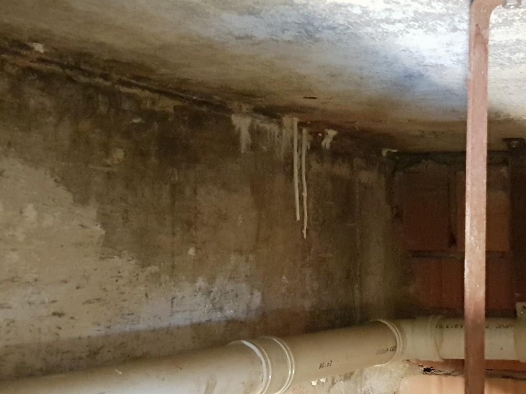 Water Seepage/Leakage Repair628630760052511113