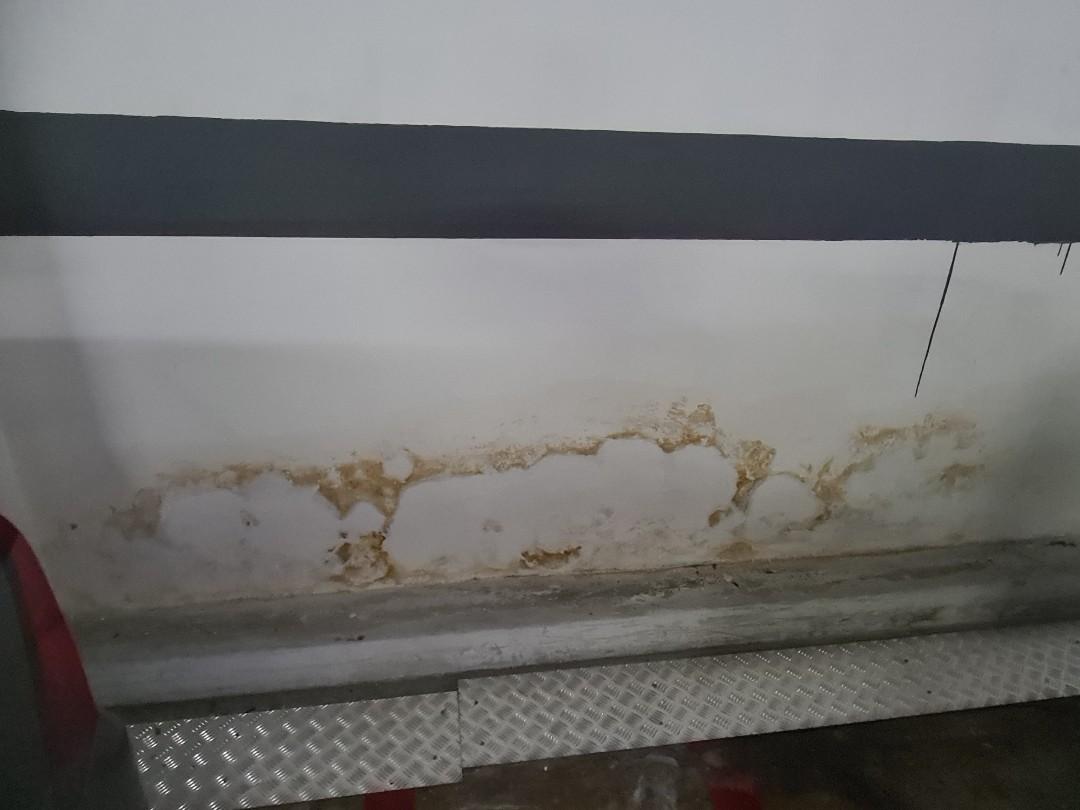 Water Seepage/Leakage Repair62863076005251112