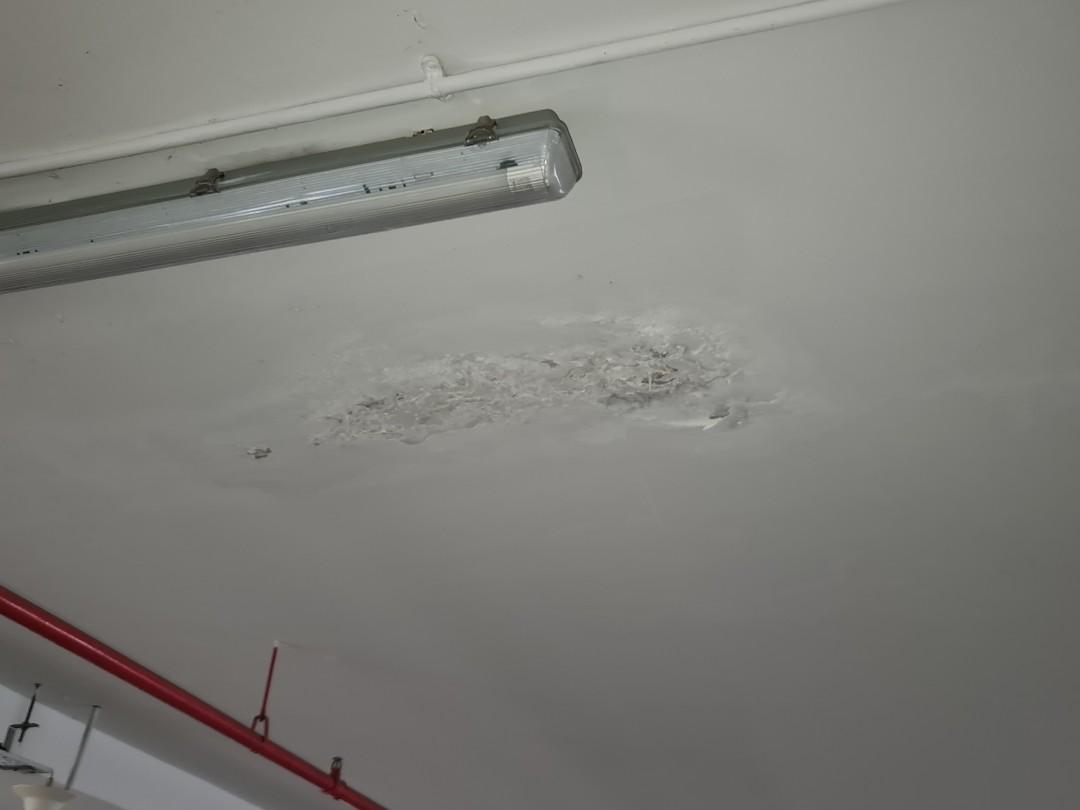 Water Seepage/Leakage Repair62863076005251113