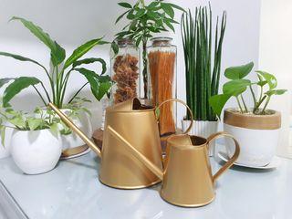 RUSTIC Watering Can