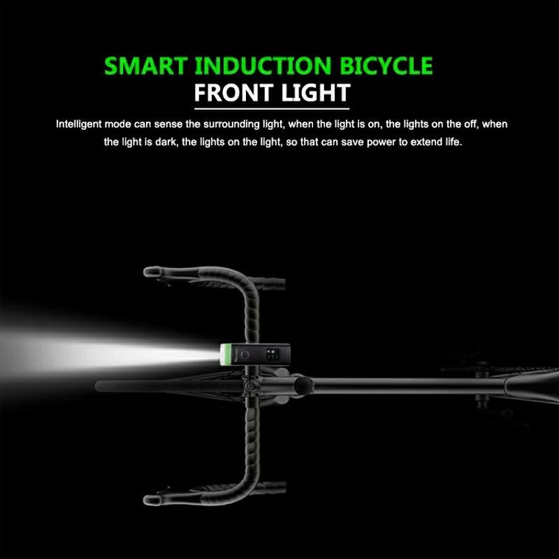 XANES SFL03 600LM XPG LED German Standard Smart Induction Bicycle