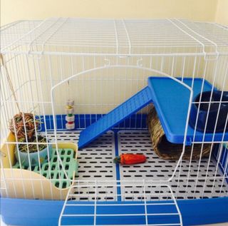 (Category: ) located in . Submitted by alhy (Listing ID 1048137798, Image 1). Description: .
