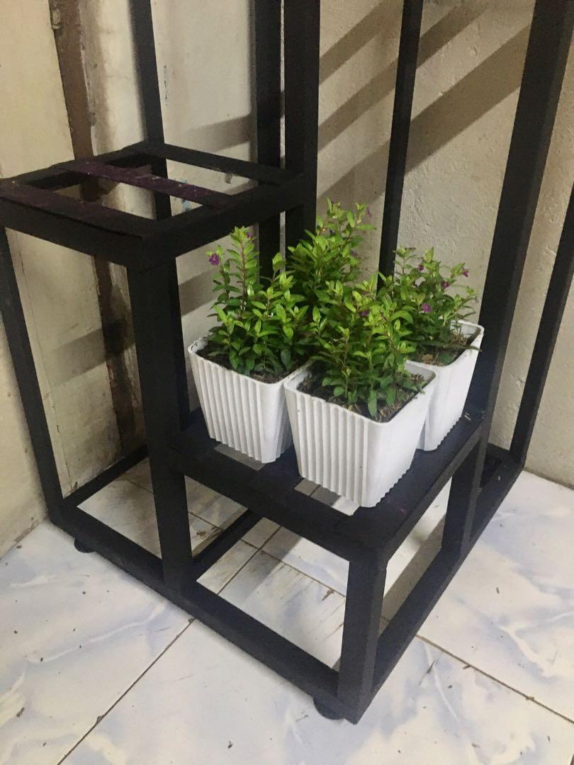 Corner Plant Racks (Category: Plants & Seeds) located in San Pedro. Submitted by draftingtablemaker (Listing ID 1048101926, Image 1). Description: Corner Plant Racks 4-Layer Metal Steel Frame 80cm height 18x18inches base heavy duty foot glider underneath for balance.