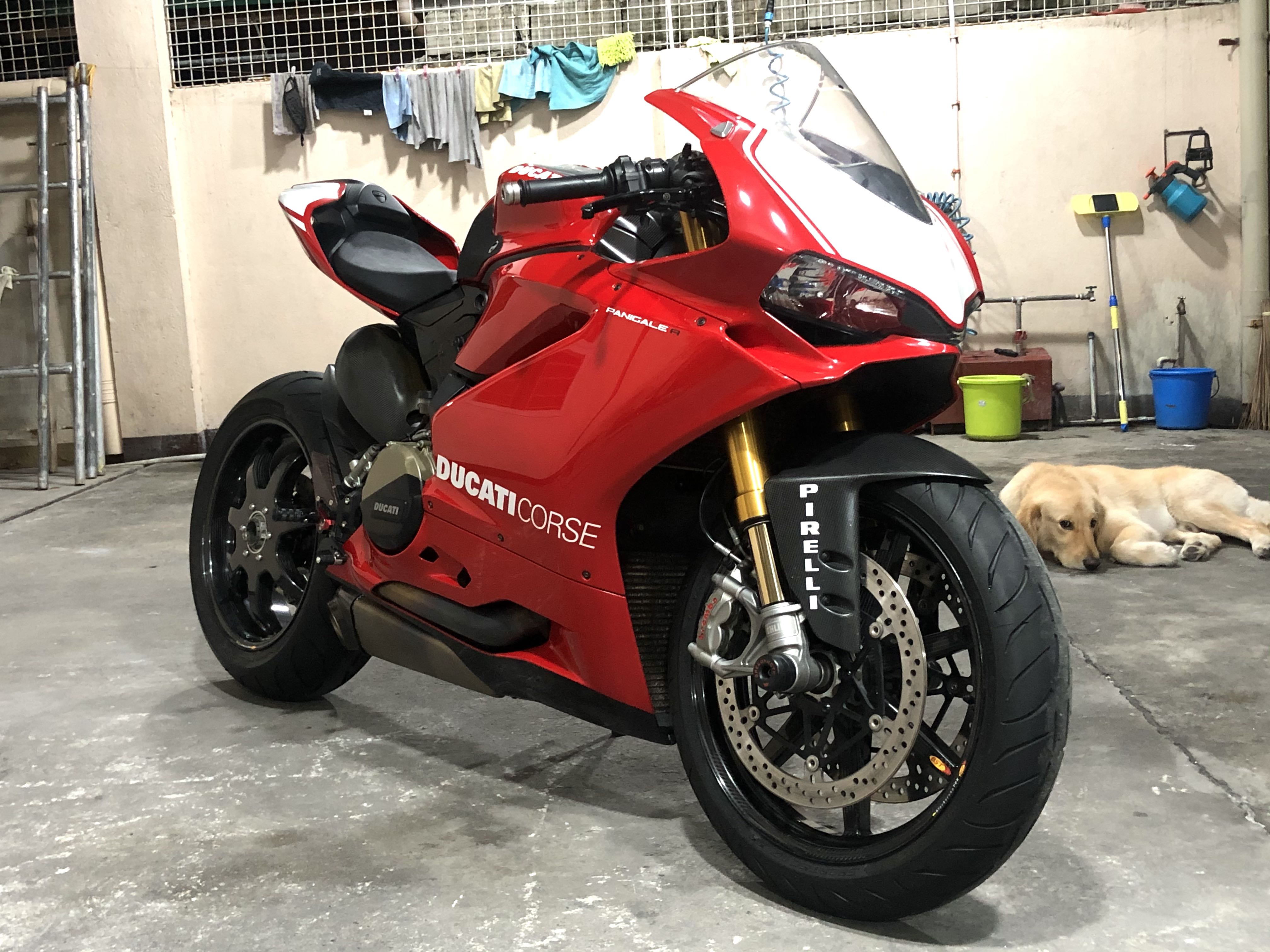 Ducati Panigale R 1198cc Motorbikes Motorbikes for Sale on Carousell