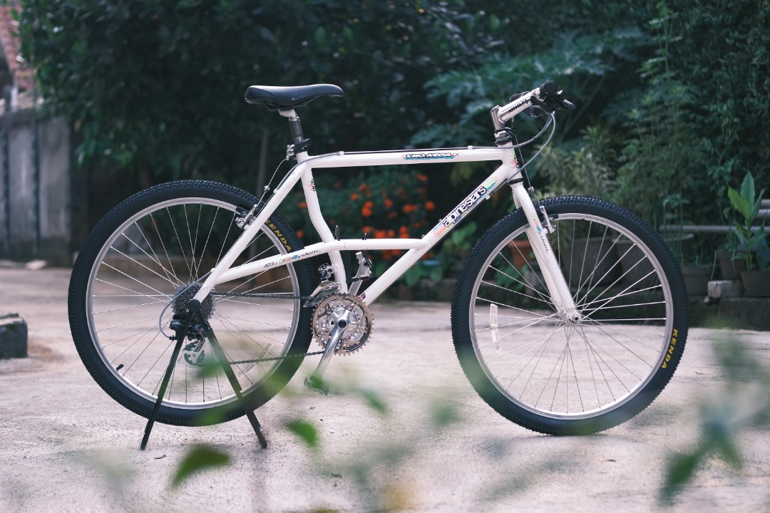 MTB Vintage Classic Alpinestars Cromega Commuter Bike Not Federal Toyo  Suzuki Marin, Olah Raga, Sepeda di Carousell