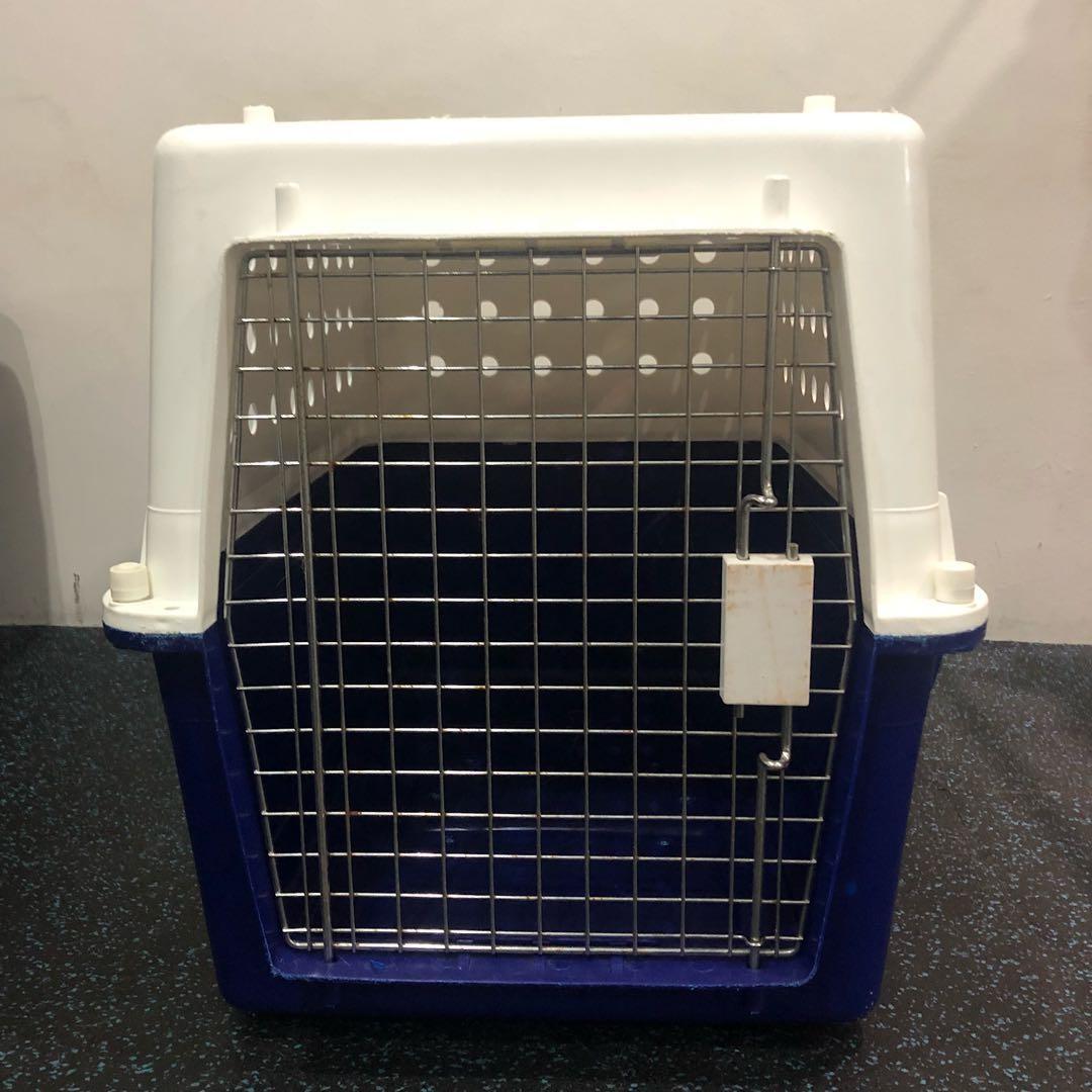 Pp30 pet carrier best sale