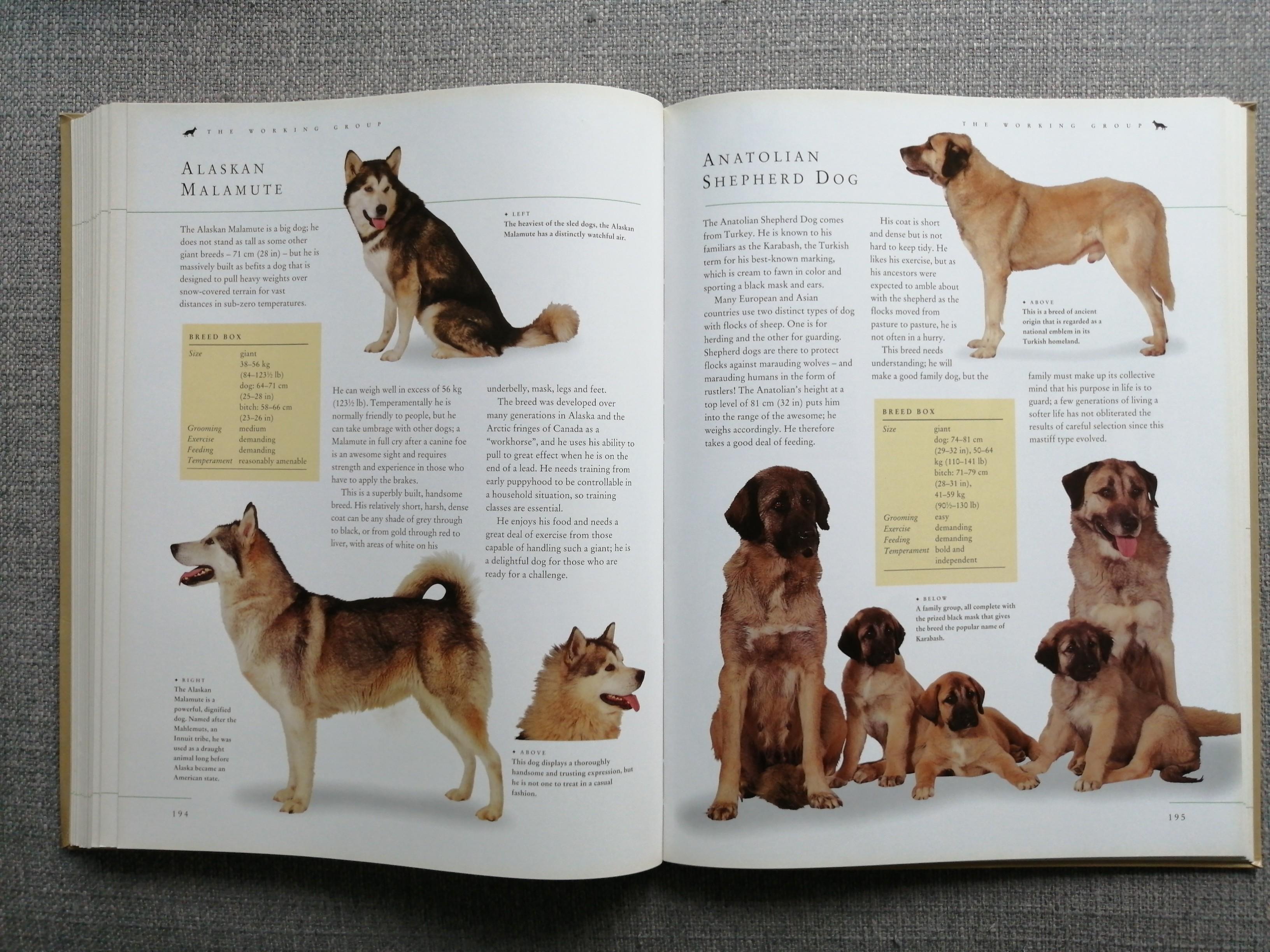 PRICE DROP "The Ultimate Encyclopedia of Dogs, Dog Breeds & Dog Care