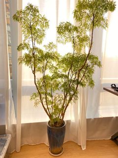 （分類：）位於 。 由 yinlam0513 提交（商品編號 1048349538，圖片 1）。簡介： 。