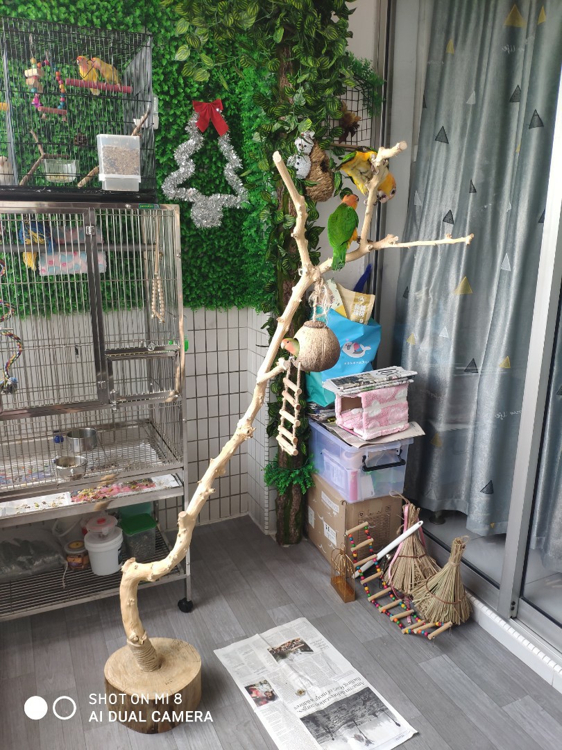 Bird wooden discount stand