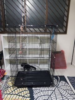 (Category: ) located in . Submitted by khalishamran (Listing ID 1048376275, Image 1). Description: .