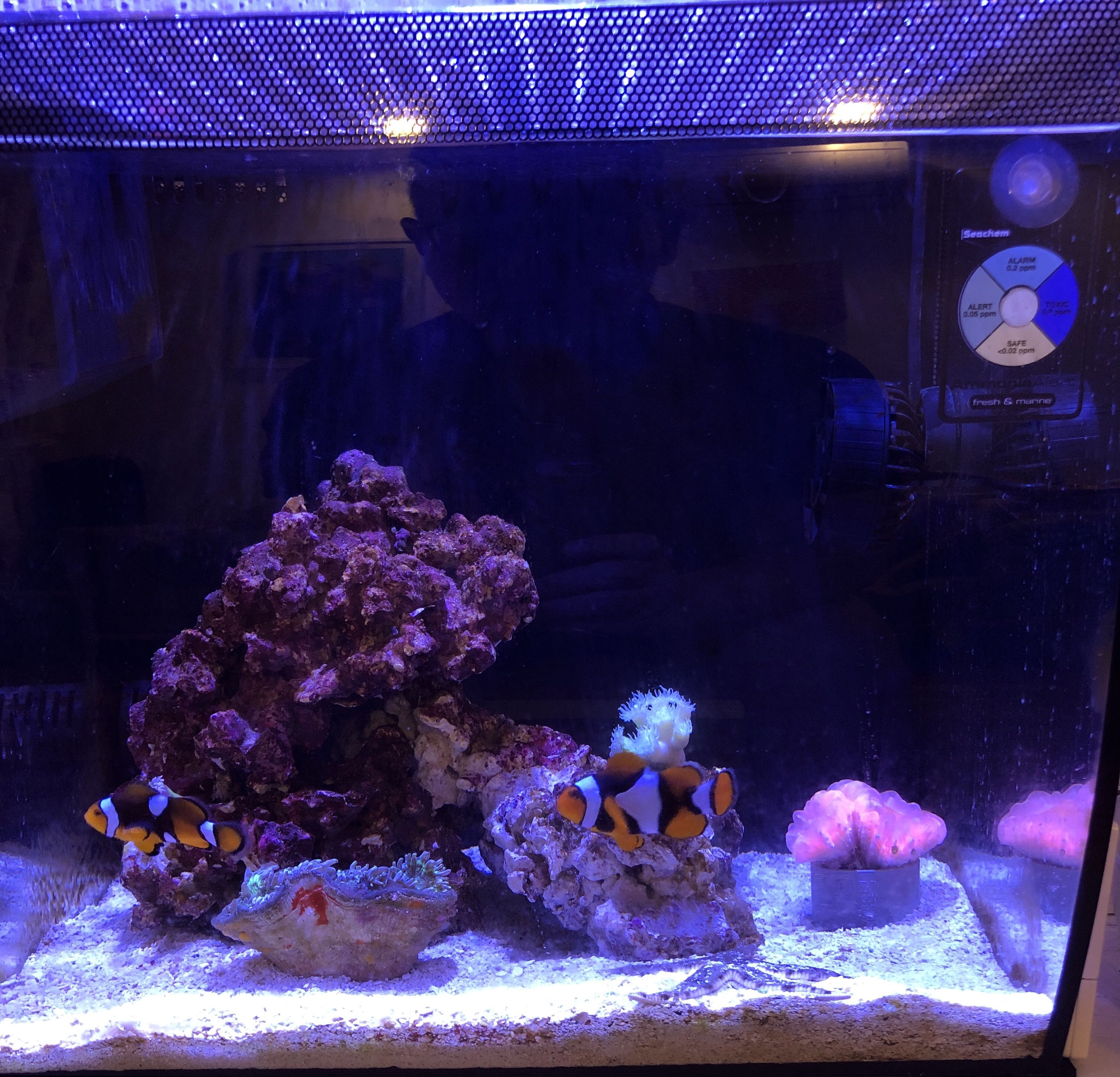 Fluval flex light outlet upgrade