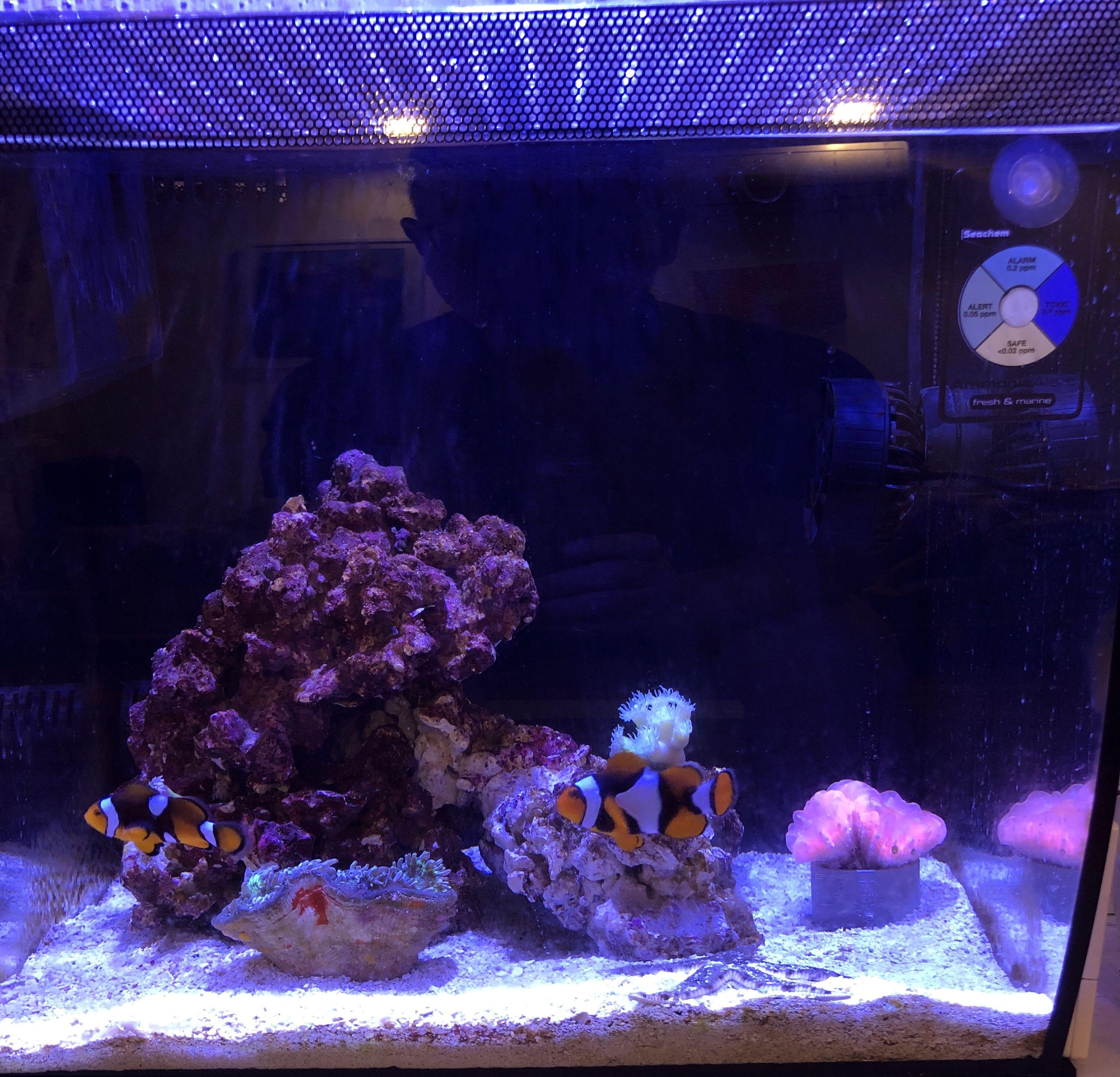 fluval flex light upgrade