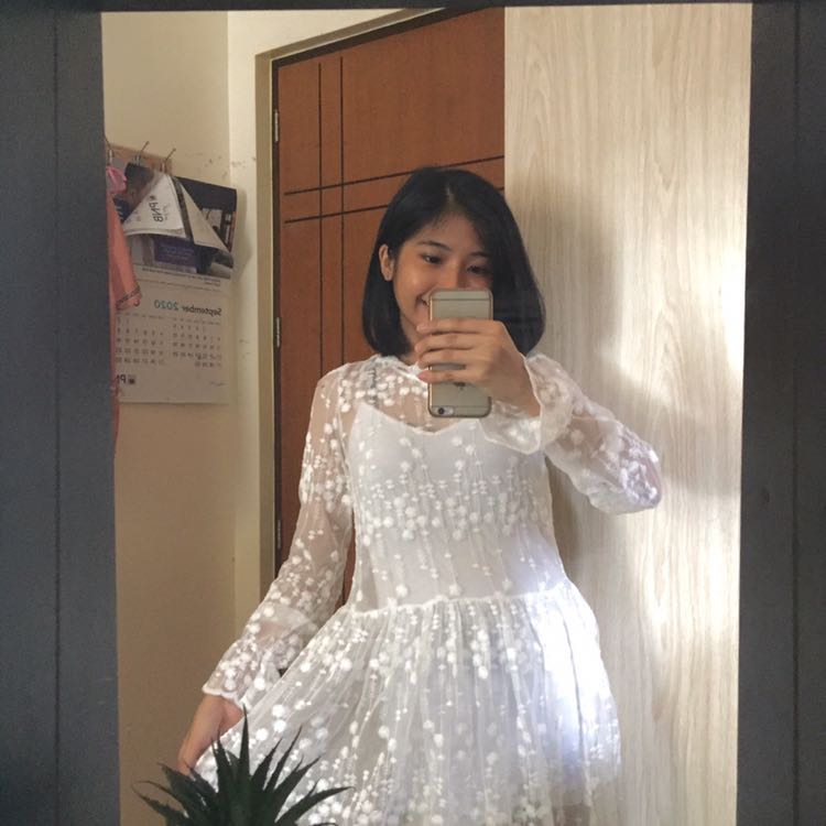 Korean Mesh Dress, Women's Fashion, Dresses u0026 Sets, Dresses on Carousell