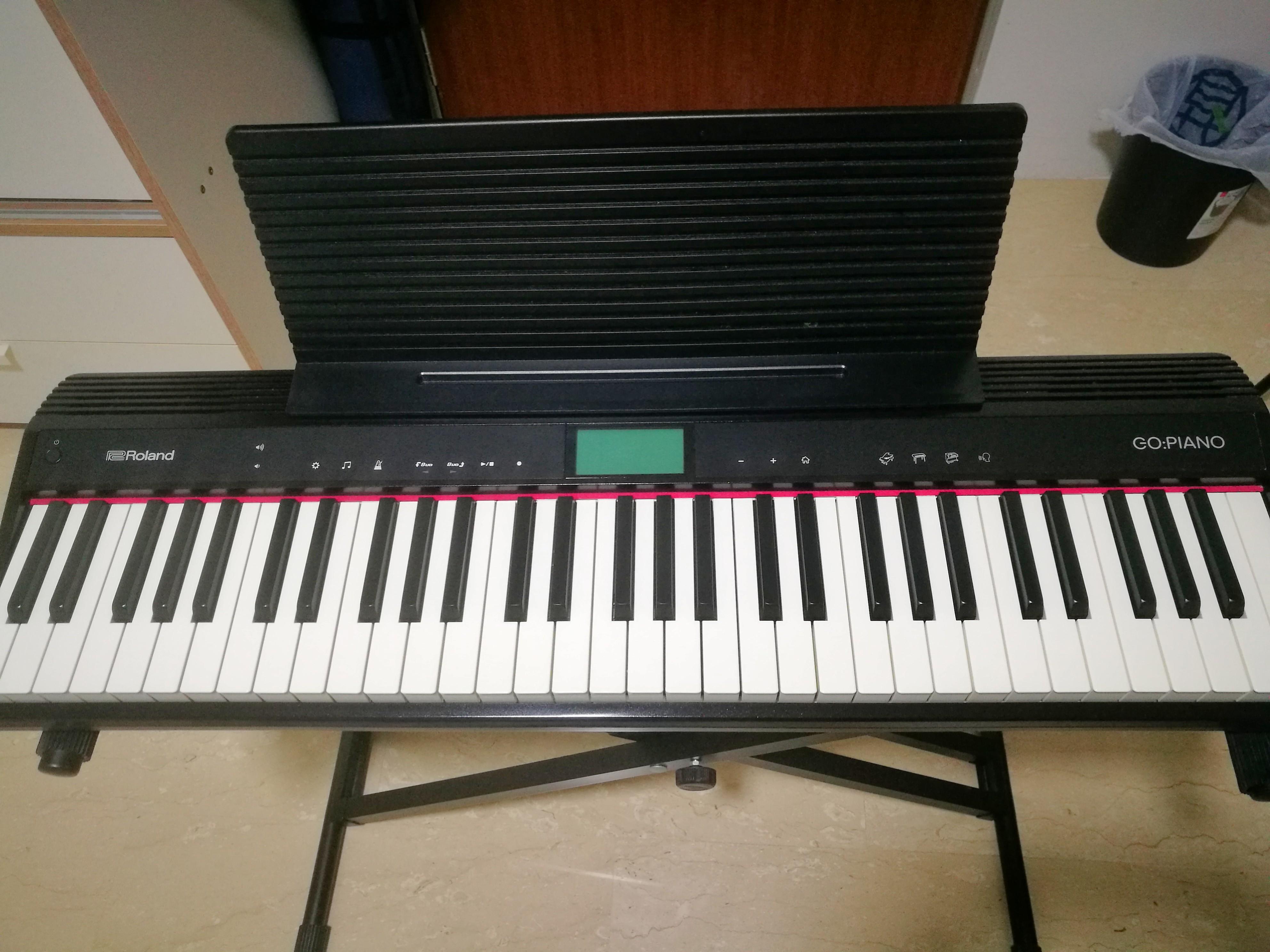 Roland Go Piano 61P, Hobbies & Toys, Music & Media, Musical Instruments ...