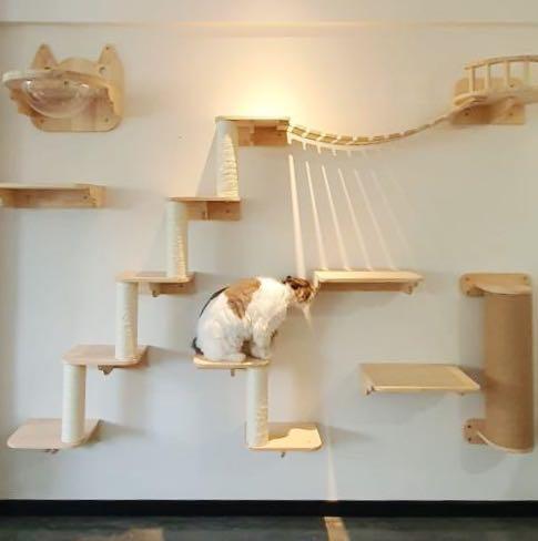 cat wall condo