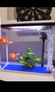 (Category: ) located in . Submitted by trendzbuy (Listing ID 1048590450, Image 1). Description: .