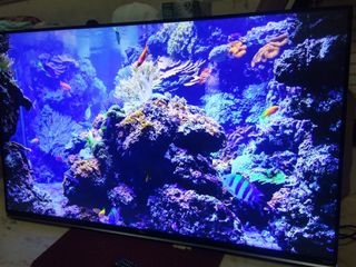 (Category: ) located in . Submitted by hdhomehtcdevice1 (Listing ID 1048596330, Image 1). Description: .