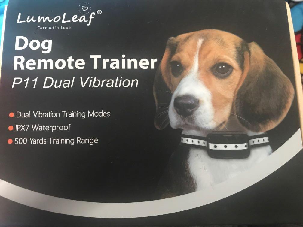 Lumoleaf dog collar cheap
