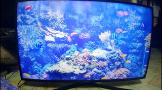 (Category: ) located in . Submitted by hdhomehtcdevice1 (Listing ID 1048621200, Image 1). Description: .