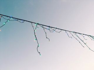 由 mx9621 (刊登 ID 1048434565，圖片 1) 提交，位於 的 (類別：)，說明：。