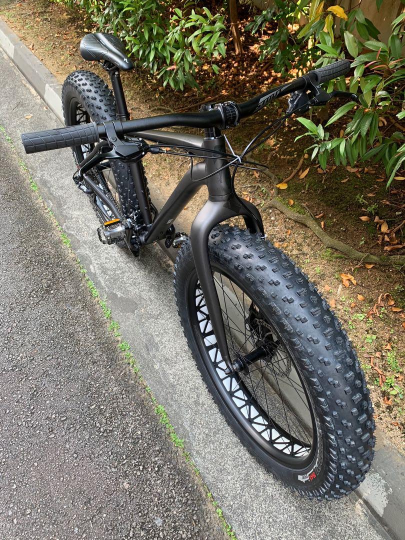 Fatboy se 2024 bike