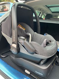 pebble plus two way fix