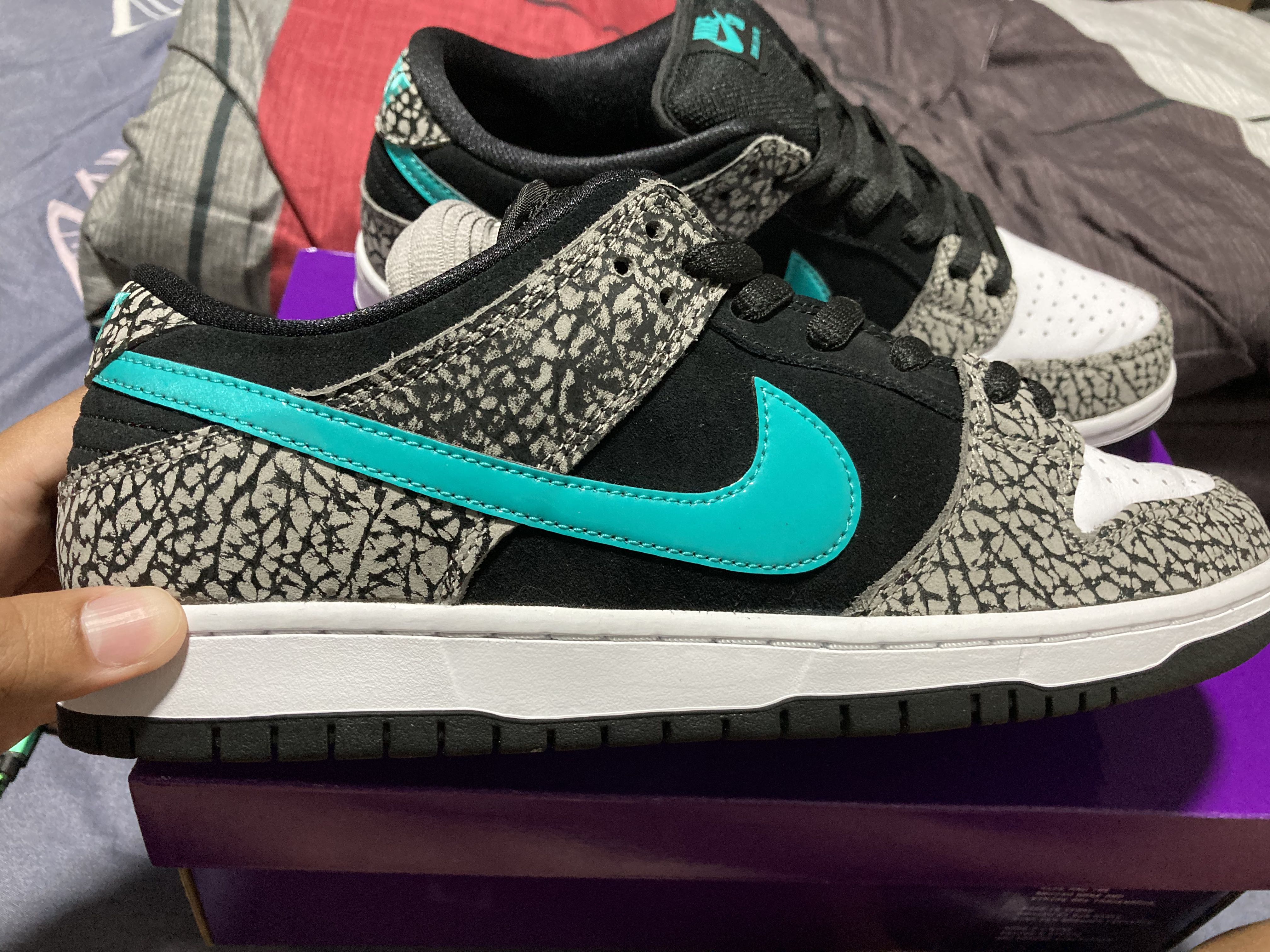 elephant print dunk low