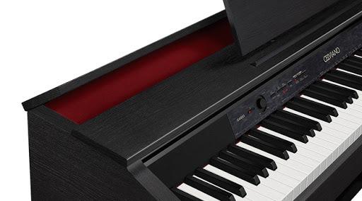 Celviano ap 450 price new arrivals